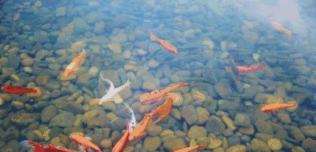 走遍32个国家,走遍40个国家