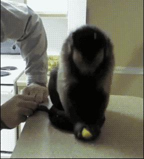 姑娘也是心大，用来洗下面的东西也要喝