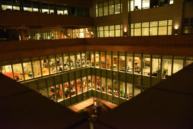 玩遍香港攻略,香港怎么玩最省钱攻略