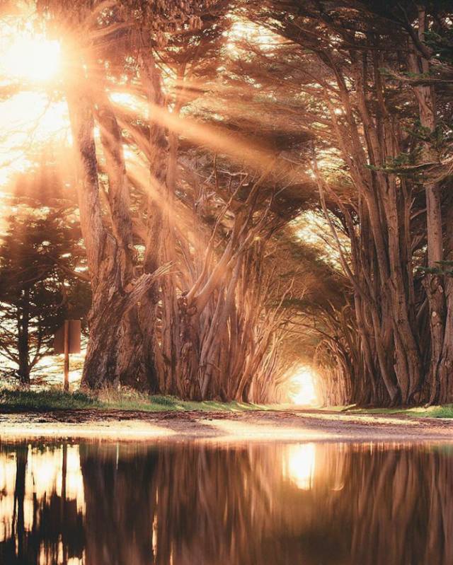 哪些手机可以拍出星芒效果,手机拍摄星芒的技巧是什么