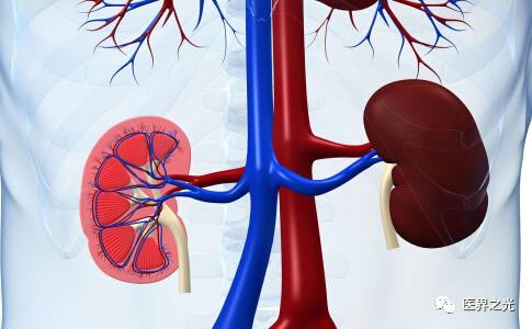 「临床技能贴」抗肿瘤药物不良反应的处理