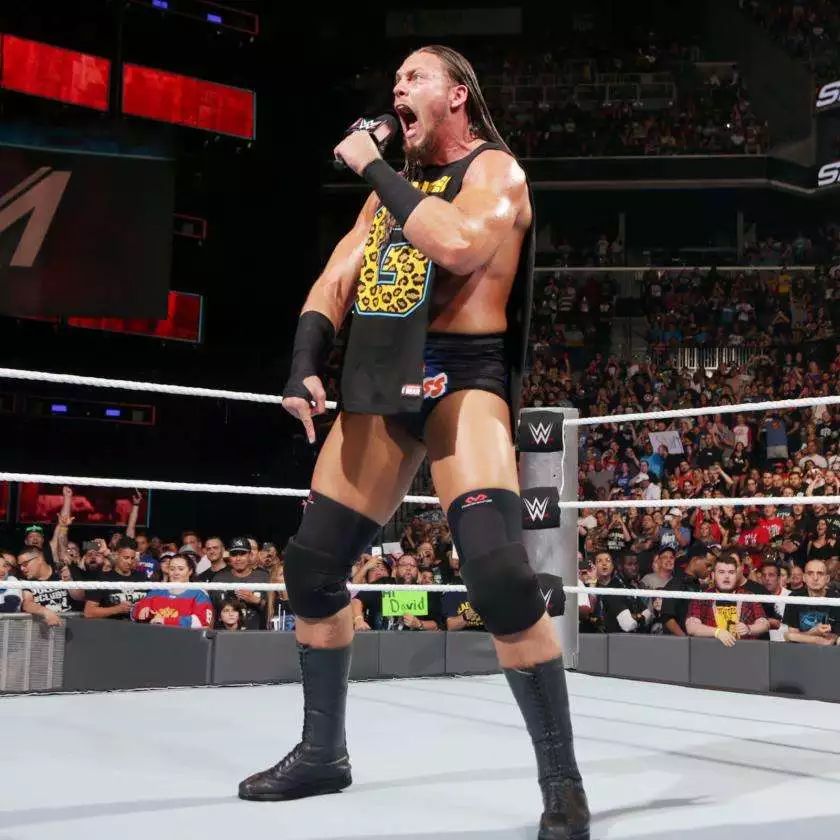 世界最强wwe布洛克,wwe布洛克输得最彻底的一次