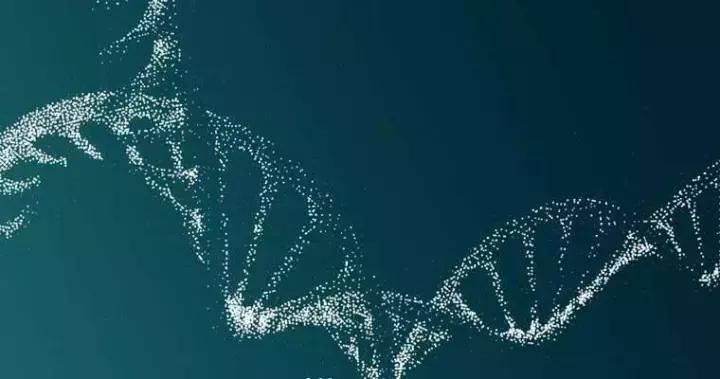 为什么酵素能瘦,酵素与酶有什么关系