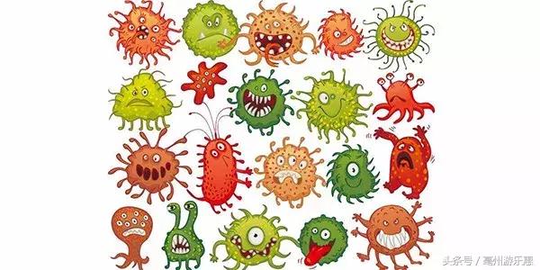 吃什么可以养成体香,少女自带体香的秘诀