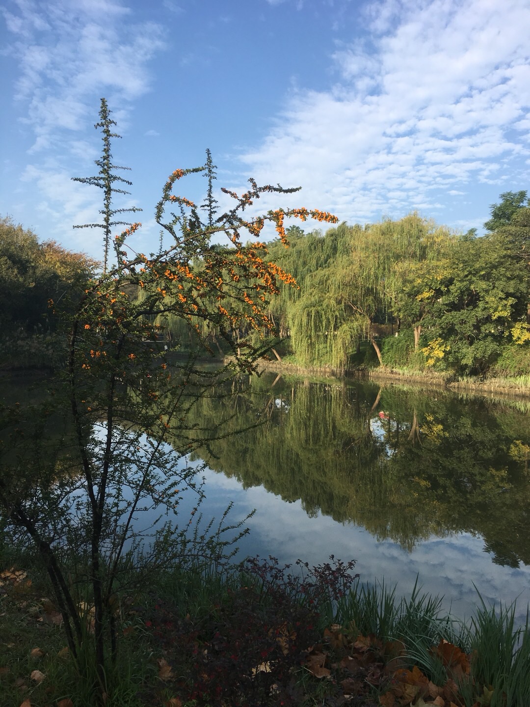 秋日偶成中程颢的人生态度,秋日偶成二首是一首什么诗
