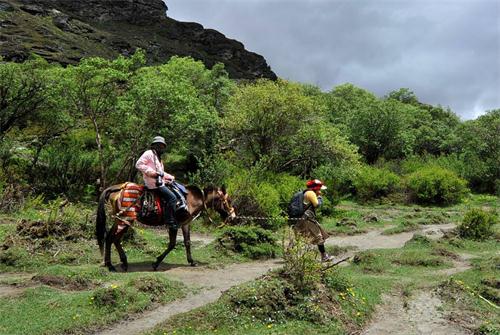 稻城亚丁景区骑马多少钱一人,去稻城亚丁骑马多少钱