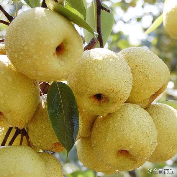 商丘农村大集特色美食,商丘美食视频大全集