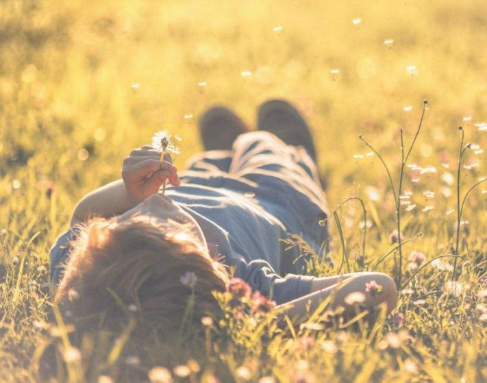 你有故事我有酒下一句怎么说,你有故事我有酒这本书讲了什么