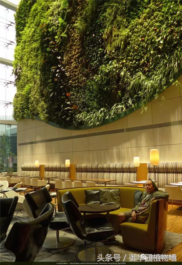 他曾说过：每一面植物墙都是一个花园……