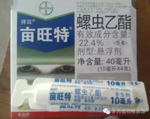 多肉蜗牛虫害怎么杀灭,多肉虫害症状及治疗