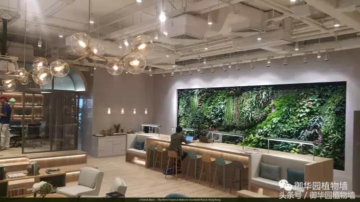 他曾说过：每一面植物墙都是一个花园……