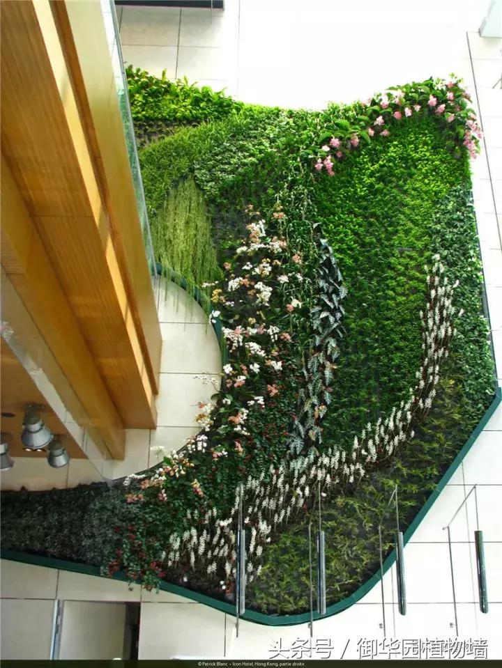 他曾说过：每一面植物墙都是一个花园……