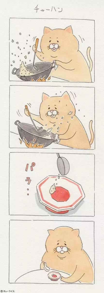 一只普通橘猫的成长史,橘猫的真实成长