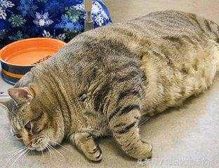 冬天拒绝臃肿瑜伽塑形,冬天拒绝身材臃肿