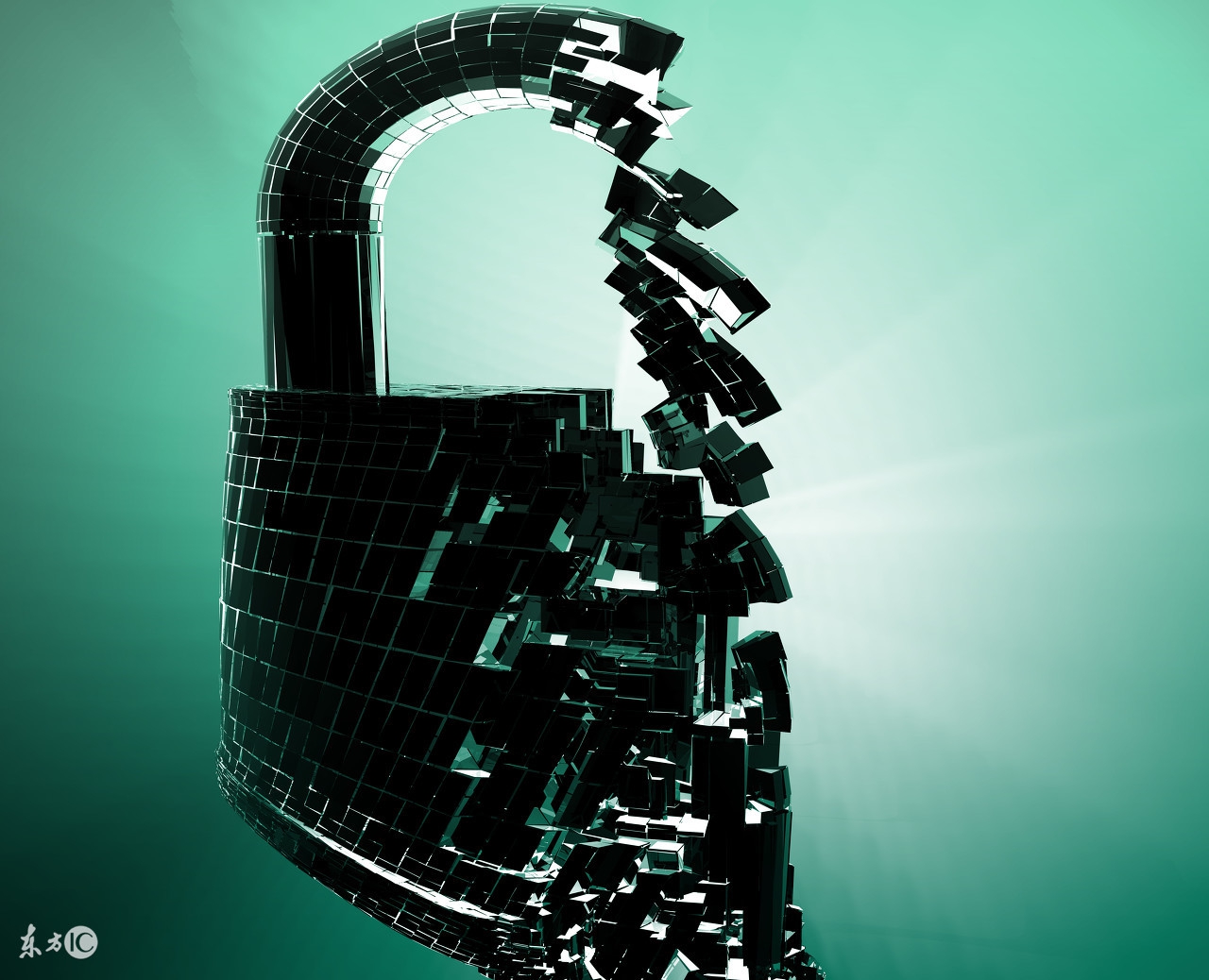 天才少年黑客阿里巴巴,天才黑客少年