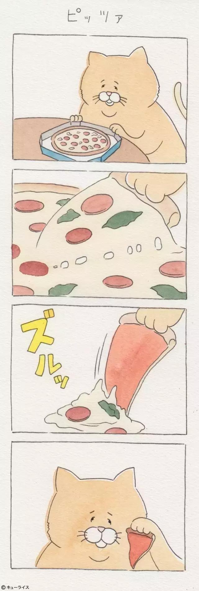 一只普通橘猫的成长史,橘猫的真实成长