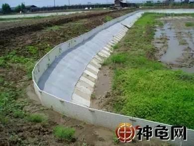 楼顶养龟生态池视频,新型养龟大棚