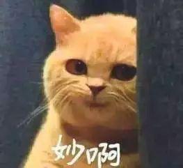 美颜相机都遮不住皱纹了,美颜相机美颜总掉怎么回事