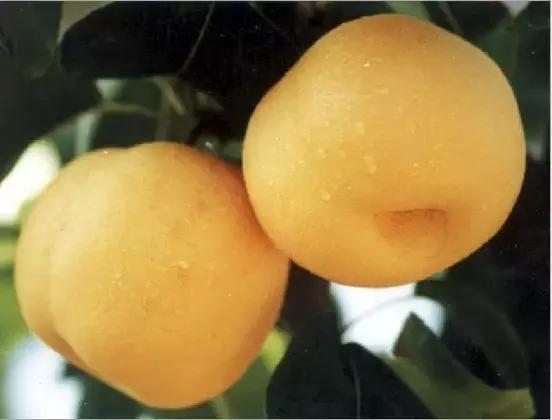 今天起，临沂要大变了！这辈子我都不会后悔留在了临沂！