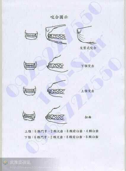 拉布拉多的身高体重标准是多少,七个月的拉布拉多体重应该多少