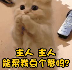 厦门的习俗和禁忌,厦门习俗的渊源