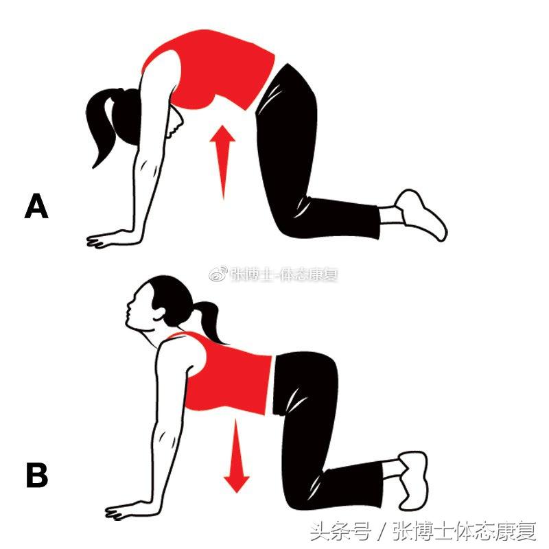 耻骨联合痛康复动作,耻骨分离产后走路超级疼怎么缓解