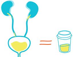 泌尿科普短视频,泌尿科普视频教程
