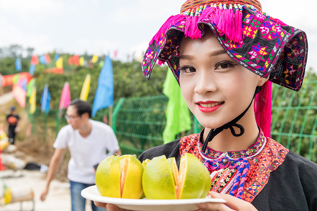 琼中绿橙发布会,琼中绿橙采摘旅游季