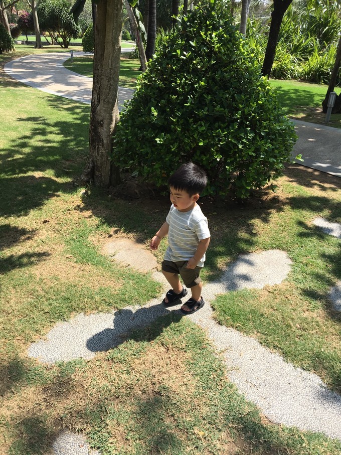 带孩子出发三亚一日游,海南三亚旅游攻略自由行最佳线路