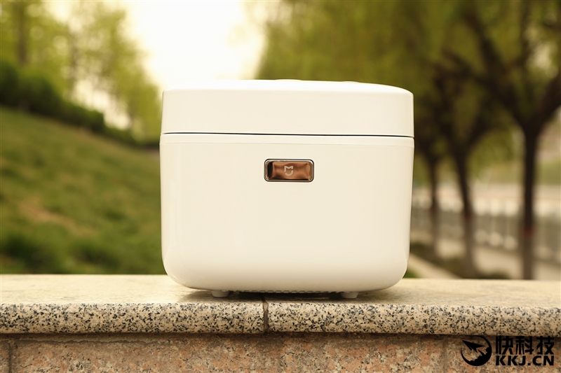 小米电饭煲价格那么多怎么选,小米电饭煲199评测