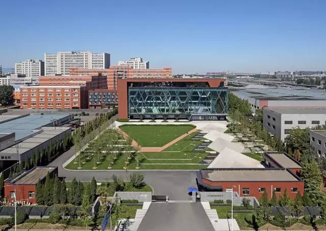 好的景观草坪,天然草坪推荐