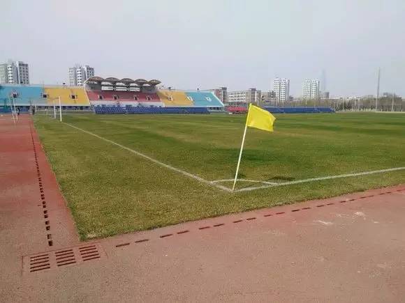 权健新家不简单带你走进男女比例失调足球氛围浓郁的“天天吃饭大学”