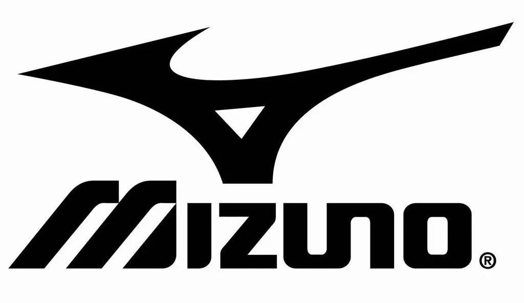 公认的十大羽毛球牌子,什么牌子的羽毛球拍又好又耐打