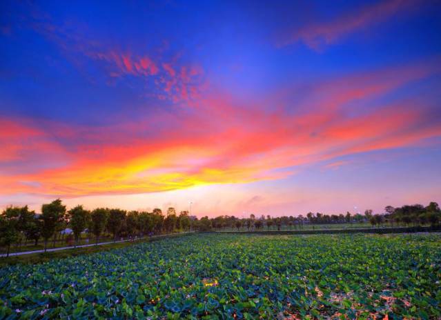 对话｜中山“北大门”东凤镇将要迎来新一轮的大升级！听杨安队说了什么？