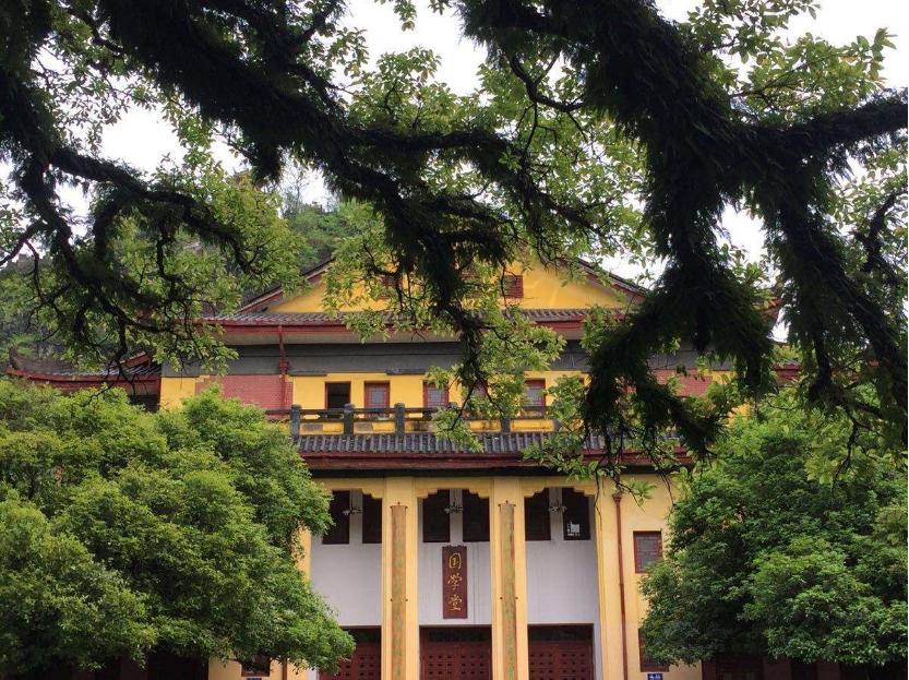 双十一十周年你还在剁手吗,双十一你成为了剁手党了吗