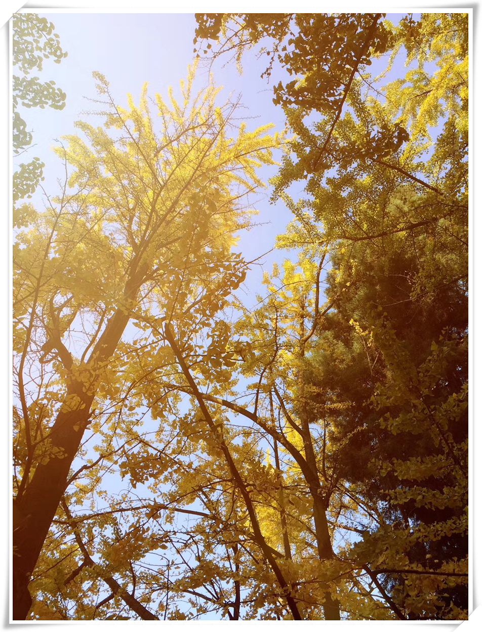 科普天空为什么是蓝色,关于天空的科普短视频