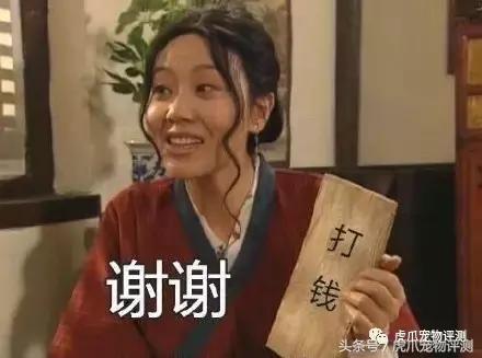 公认最好的宠物沐浴露测评,宠物沐浴露测评狗狗