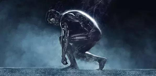 合格健身教练需要什么品质,健身新手的标准