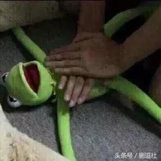 山寨f4最新视频,山寨版f4惊艳出场