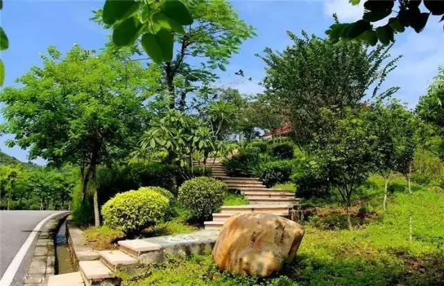 别再跟我说“母鸡”去哪玩！广州48个一日游免费景点推荐！