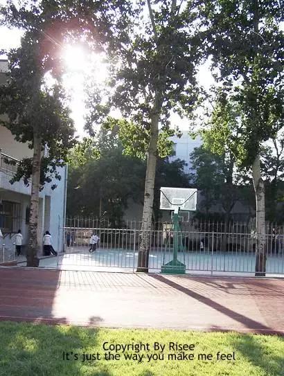 济南市七中怎么样,你好济南英文