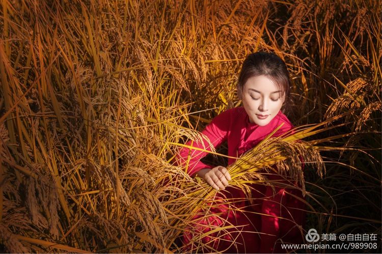 十里稻花香的全诗,十里稻花香的上一句