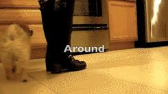 抱紧我你就不冷啦,暖心汪星人就是这么关心自己的主人!