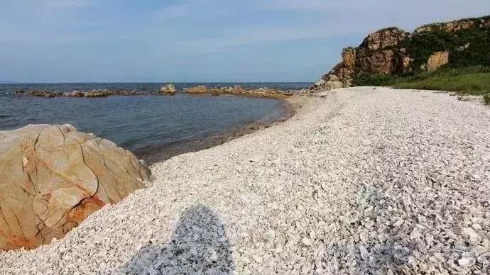 天津免费景点游玩攻略大全,天津必去景点推荐天津免费景点