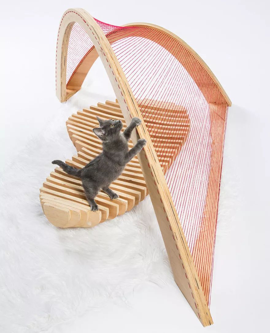 大爱!为这些百变多样的猫屋打call