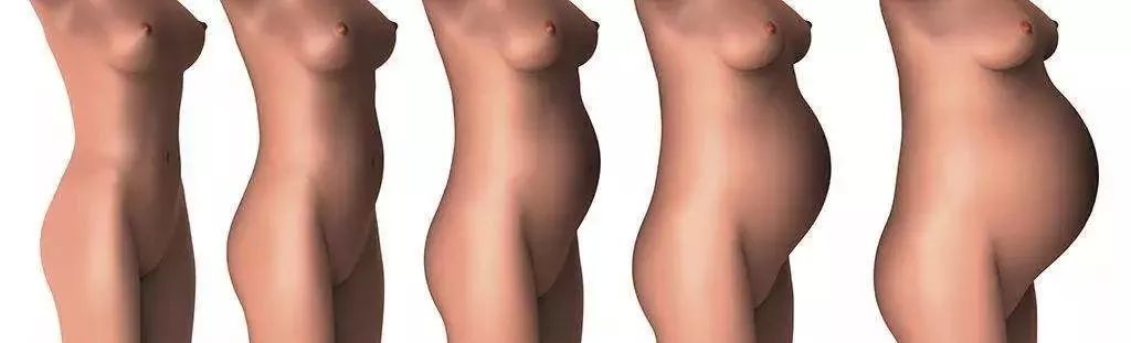 怀孕了乳房胀痛怎么办,怀孕多久出现乳房胀痛