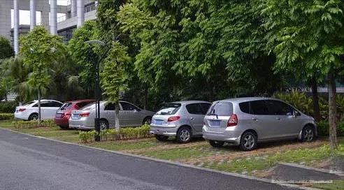 柏油清洗剂可以去除树胶鸟屎印吗,不伤车漆的去胶方法