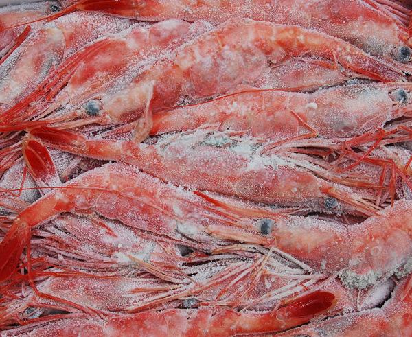 科普厦门海鲜市场,厦门哪里海鲜批发市场海鲜便宜