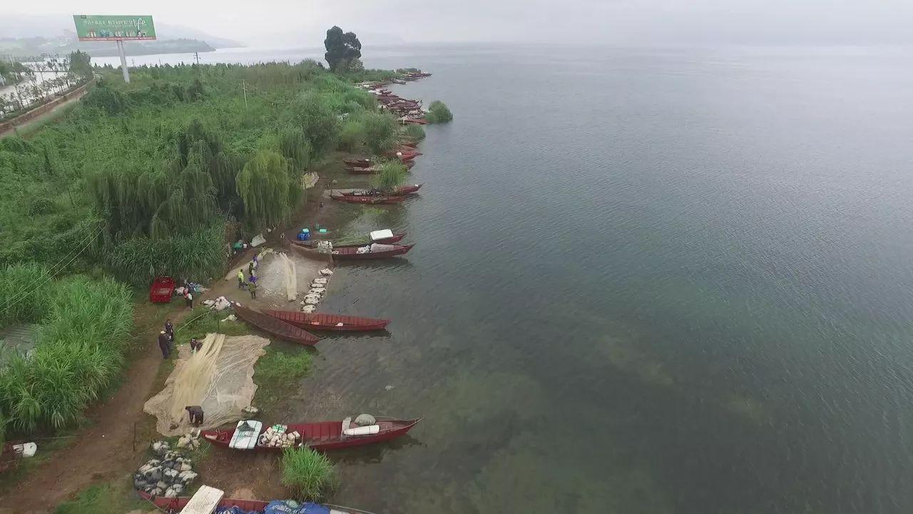 不用网不用钩就能捕到鱼？答案就在这里