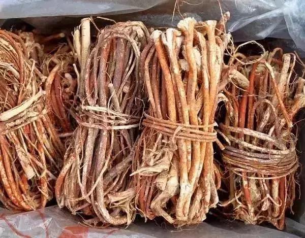 广东土人参煲汤,韶关人参的做法和配方